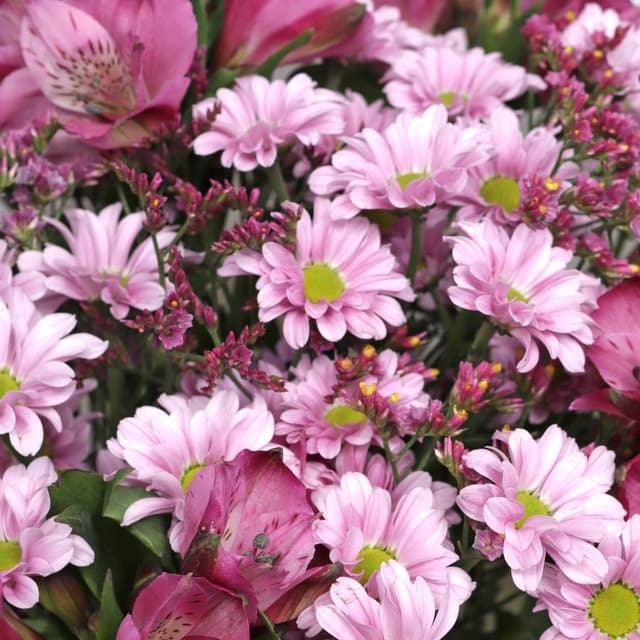 Букет из Альстромерий, Хризантем и Лимониума «Розовая пыльца» Букет из Альстромерий, Хризантем и Лимониума «Розовая пыльца»