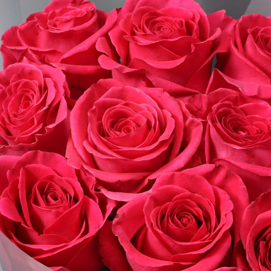 Букет Роз Эквадор 11 шт «Чистое чувство»