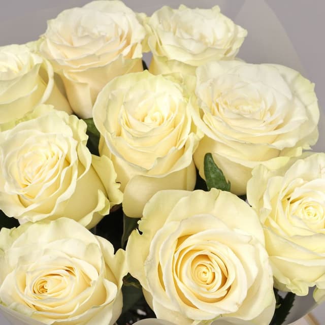 Букет Роз Эквадор 9 шт «Свет твоей улыбки» Букет Роз Эквадор 9 шт «Свет твоей улыбки»