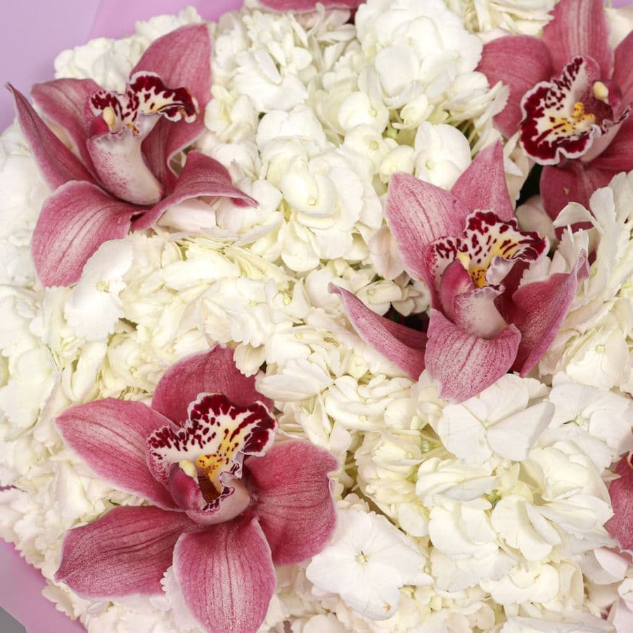 Букет из Гортензий и Орхидей «Сахарная дымка»