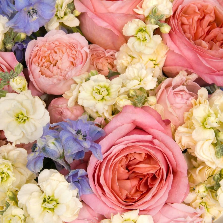 Букет из Маттиолы, Роз и Дельфиниума «Облачный сад»