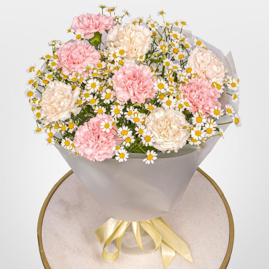 Букет из Гвоздик и Ромашек «Секрет счастья»