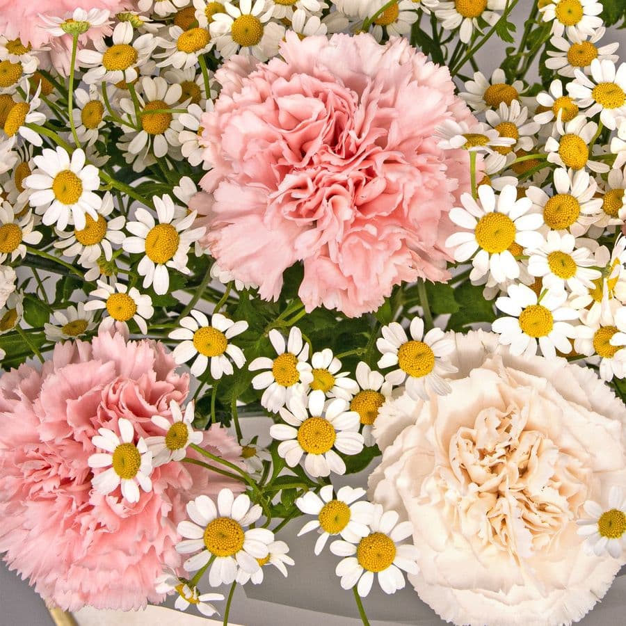 Букет из Гвоздик и Ромашек «Секрет счастья»