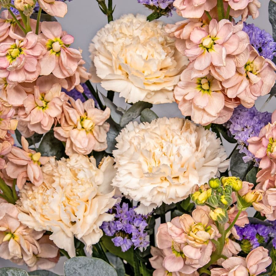 Букет из Гвоздик, Маттиол и Статицы «Тайна чувств»