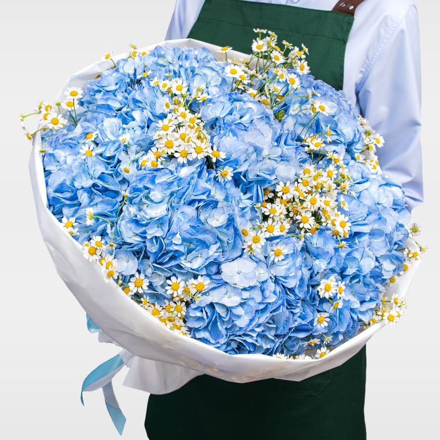 Букет из Гортензий и Ромашек «Небо в ромашках»