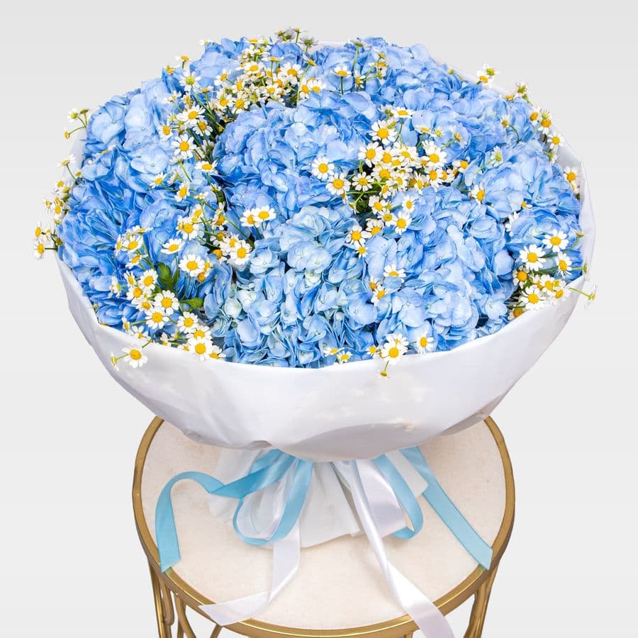 Букет из Гортензий и Ромашек «Небо в ромашках»
