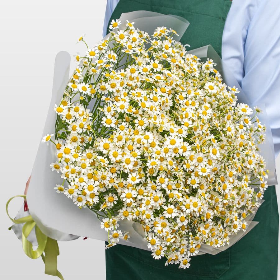 Букет Ромашек «Летняя Нежность»