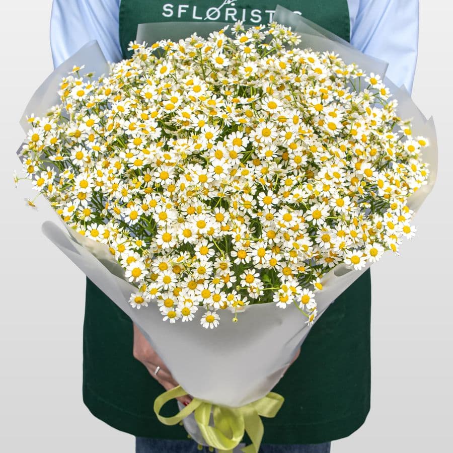 Букет Ромашек «Летняя Нежность»