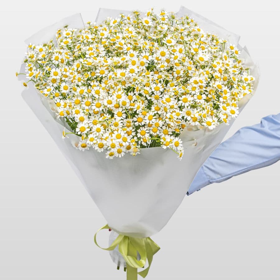 Букет Ромашек «Летняя Нежность»