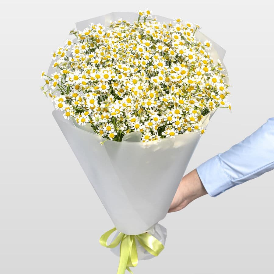 Букет Ромашек «Тепло лета»