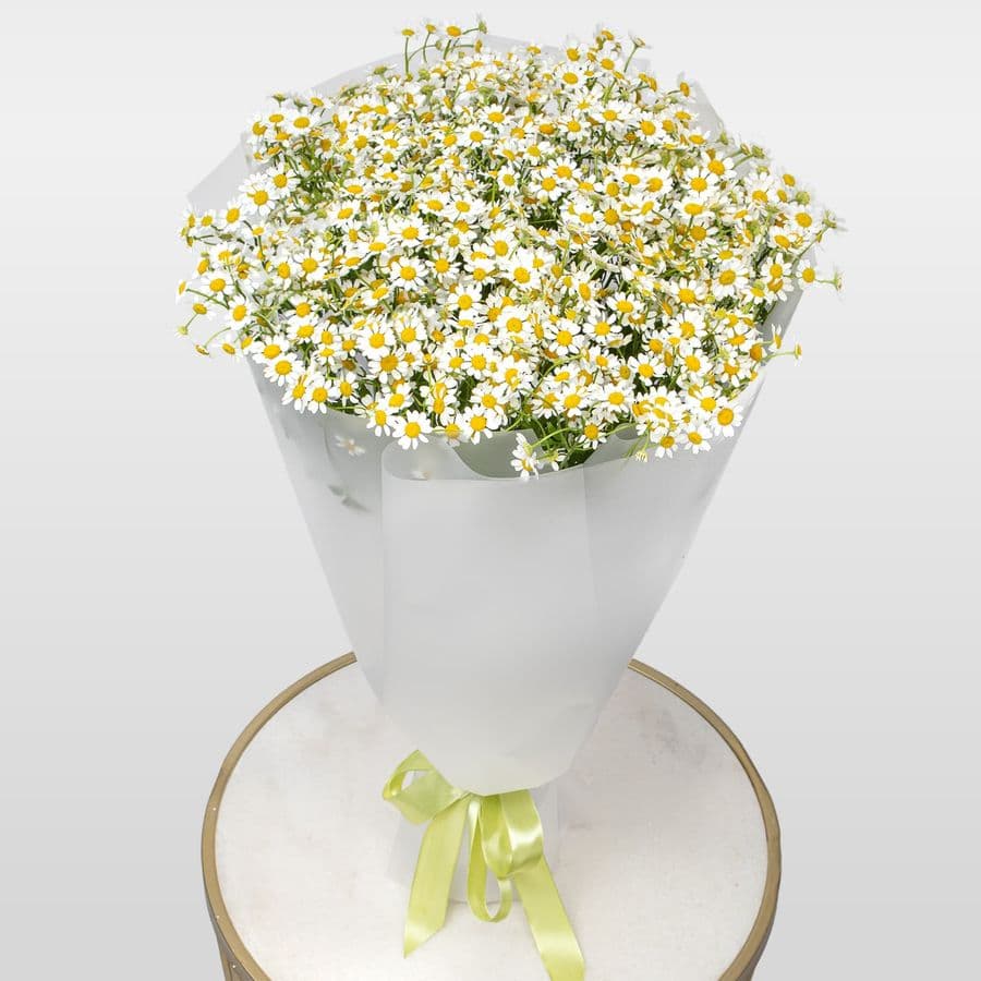 Букет Ромашек «Тепло лета»