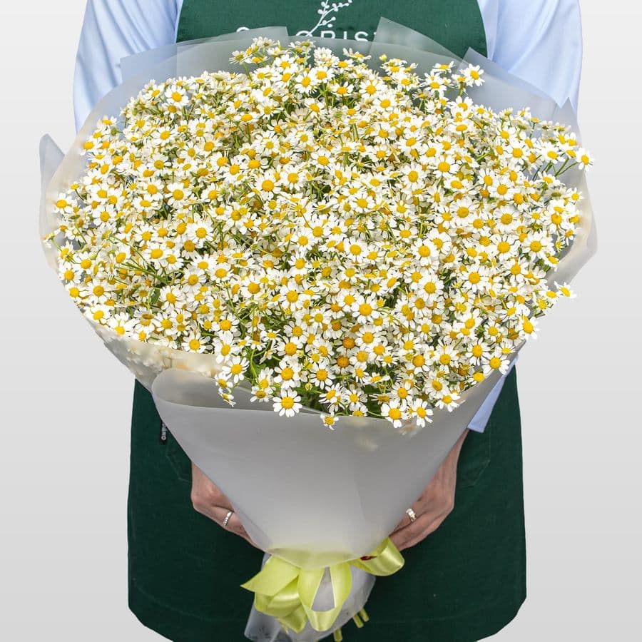 Букет Ромашек «Душа поля»