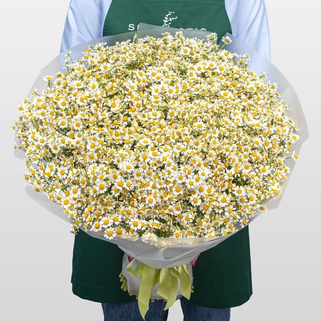 Букет Ромашек «Солнечная поляна» Букет Ромашек «Солнечная поляна»