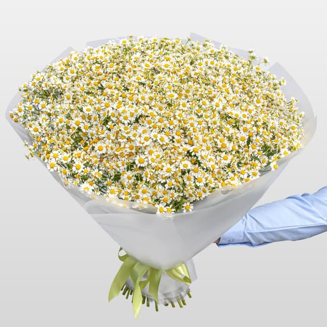 Букет Ромашек «Солнечная поляна» Букет Ромашек «Солнечная поляна»