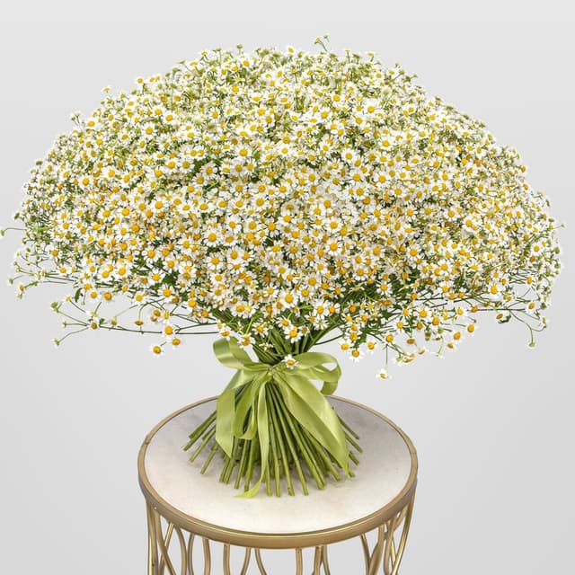 Букет Ромашек «Солнечная поляна» Букет Ромашек «Солнечная поляна»