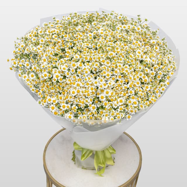 Букет Ромашек «Солнечная поляна» Букет Ромашек «Солнечная поляна»