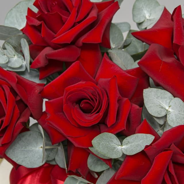 Композиция из Роз Эквадор в шляпной коробке «Алый Вихрь» Композиция из Роз Эквадор в шляпной коробке «Алый Вихрь»