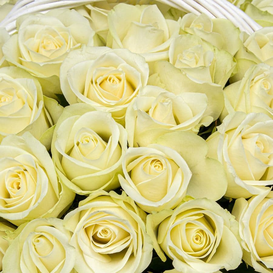 Композиция из Роз Кения 60 см в корзине «Молочная Ваниль»