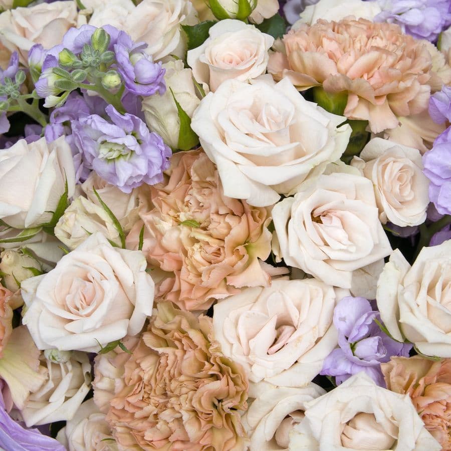 Букет из Роз, Диантуса и Маттиолы «Солнечные Мысли»