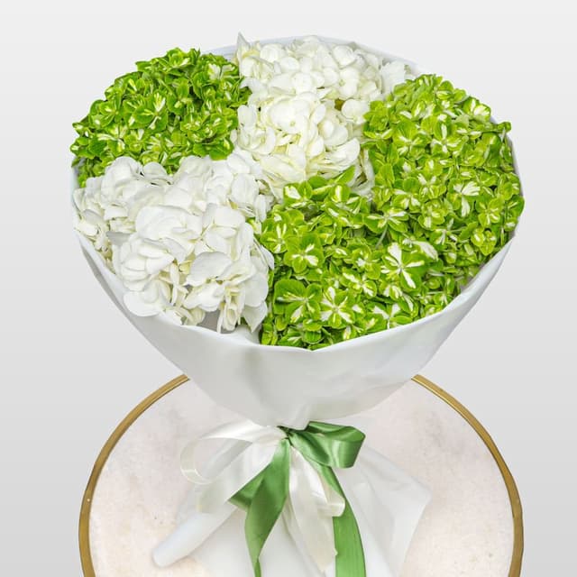 Букет из Гортензий «Мохито» Букет из Гортензий «Мохито»