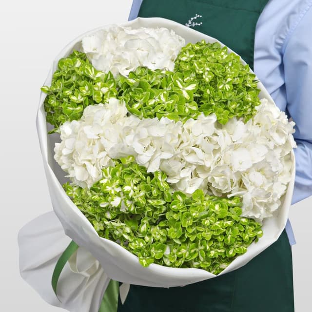 Букет из Гортензий «Снежная мята» Букет из Гортензий «Снежная мята»