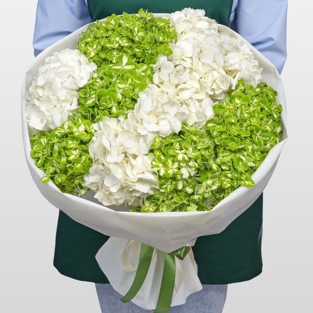 Букет из Гортензий «Снежная мята» Букет из Гортензий «Снежная мята»