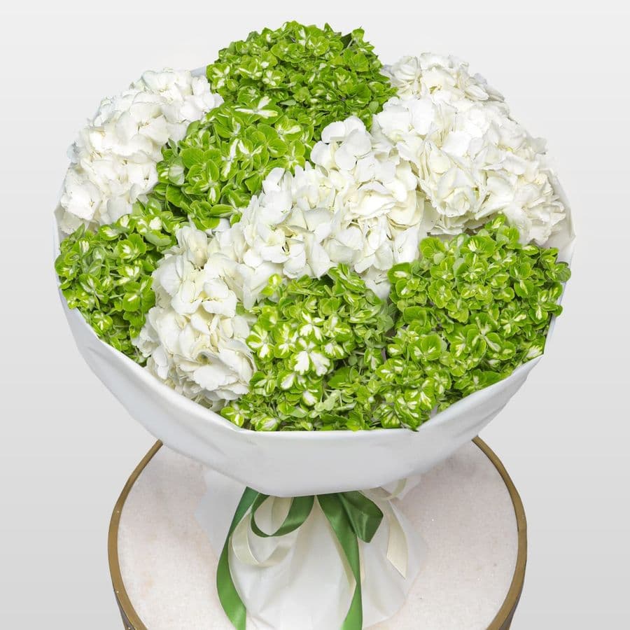 Букет из Гортензий «Снежная мята»