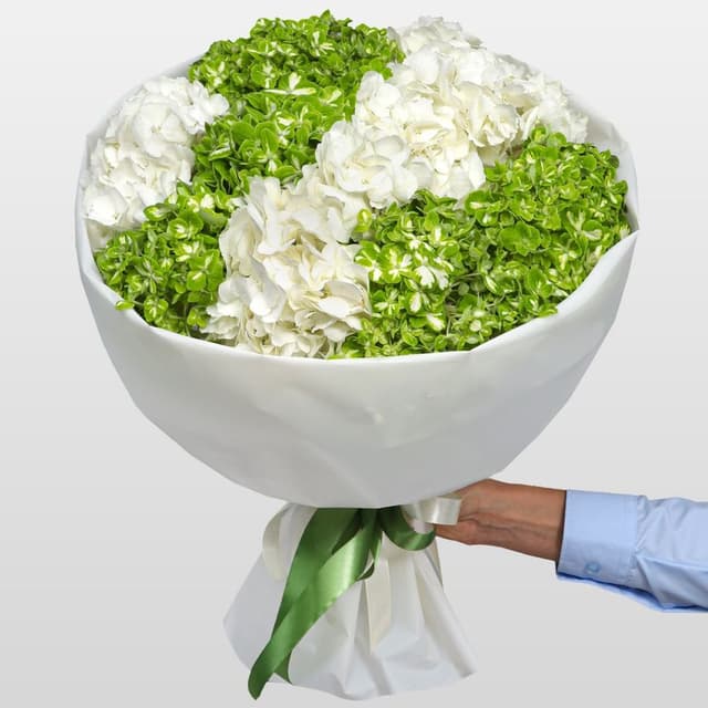 Букет из Гортензий «Снежная мята» Букет из Гортензий «Снежная мята»