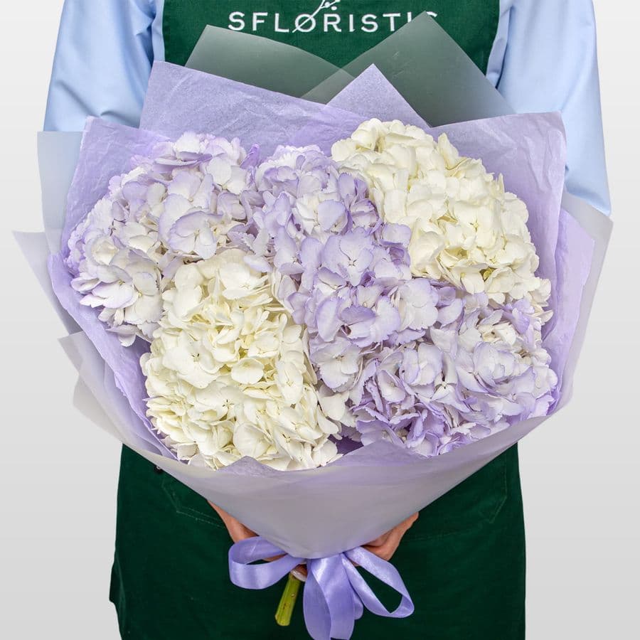 Букет из Гортензий «Сиреневая Нежность»