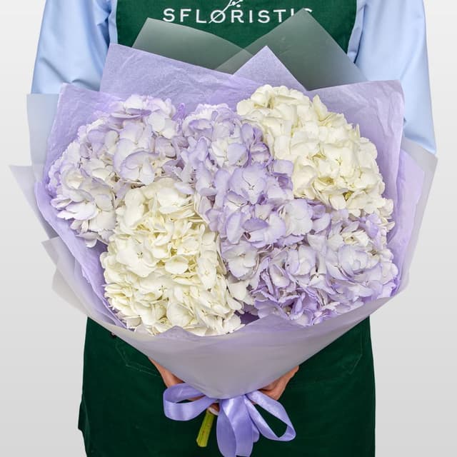 Букет из Гортензий «Сиреневая Нежность» Букет из Гортензий «Сиреневая Нежность»