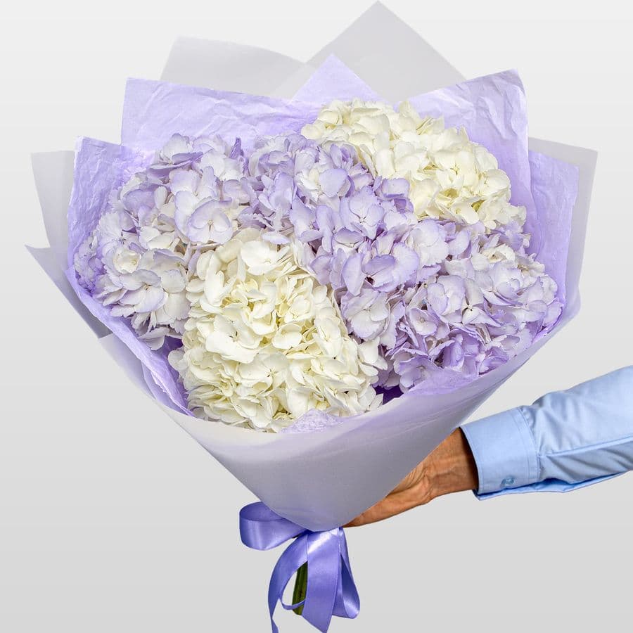 Букет из Гортензий «Сиреневая Нежность»