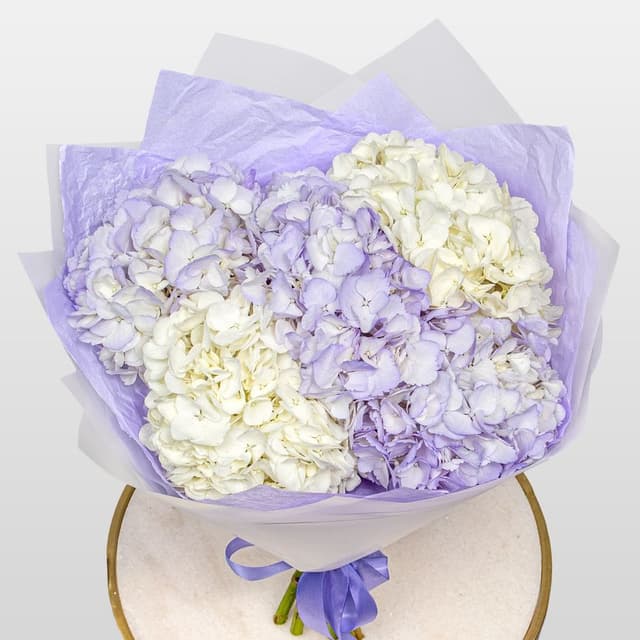 Букет из Гортензий «Сиреневая Нежность» Букет из Гортензий «Сиреневая Нежность»