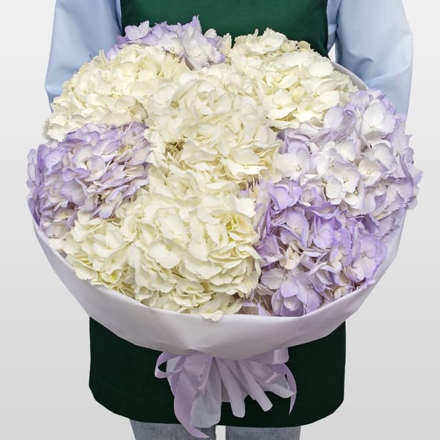 Букет из Гортензий «Сиреневая Мечта» Букет из Гортензий «Сиреневая Мечта»