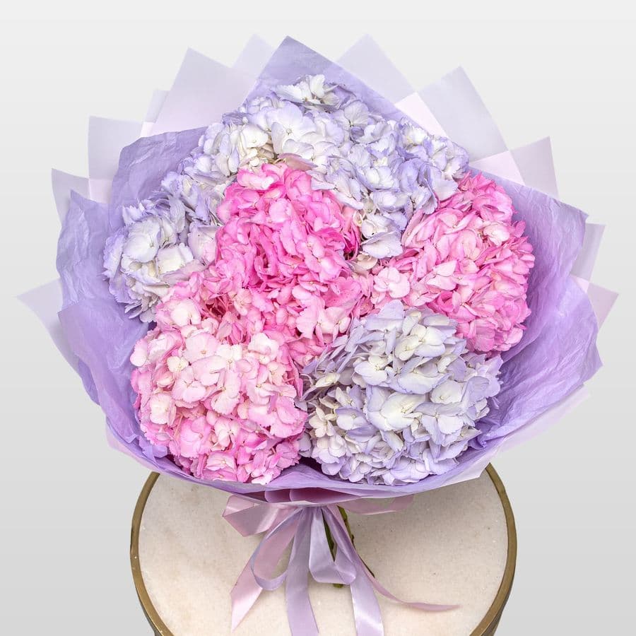 Букет из Гортензий «Малиновый Ветер»