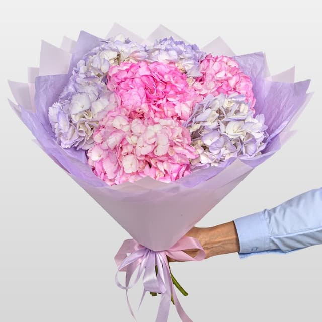 Букет из Гортензий «Малиновый Ветер» Букет из Гортензий «Малиновый Ветер»
