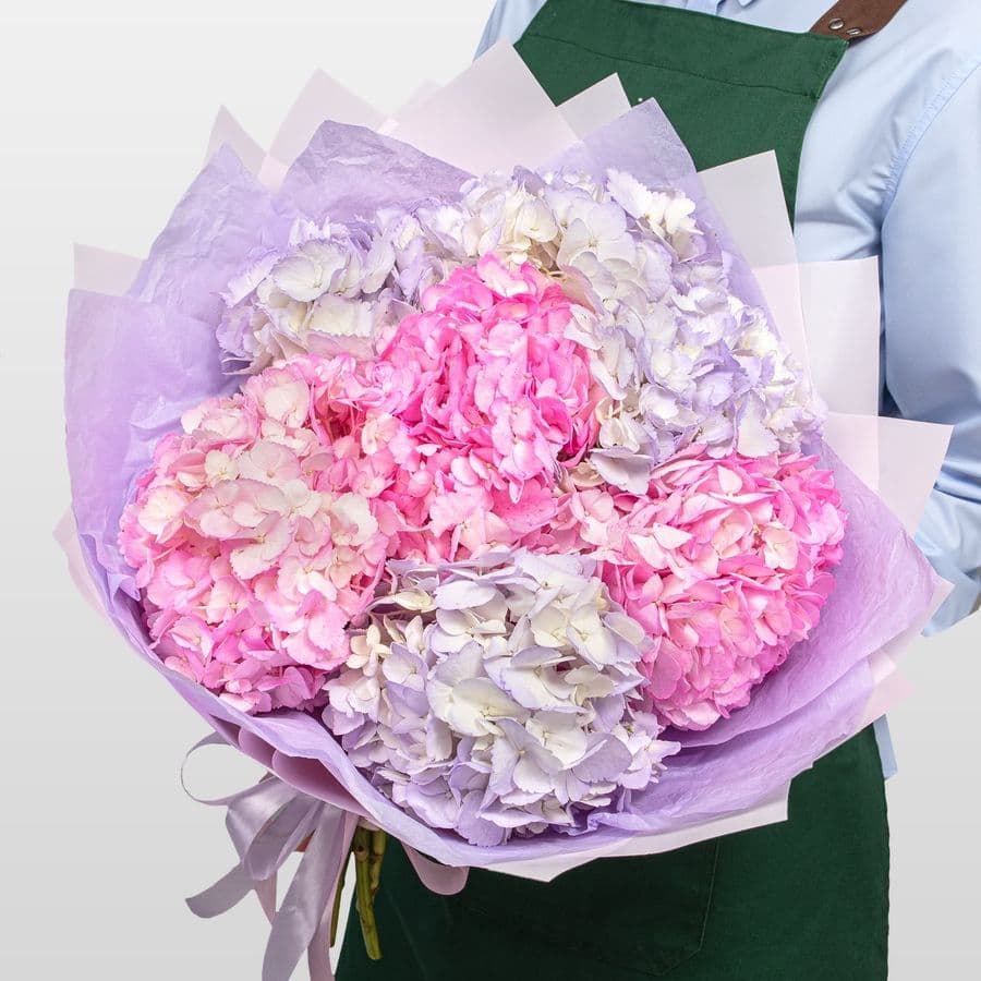 Букет из Гортензий «Малиновый Ветер»