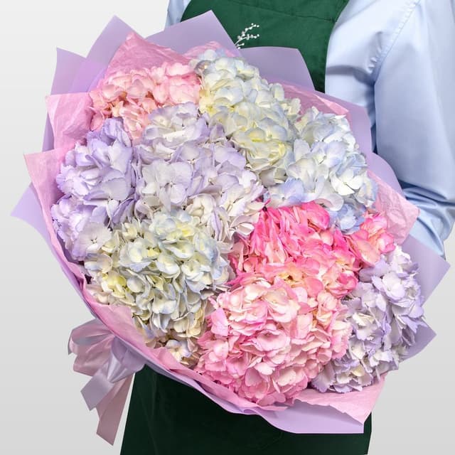 Букет из Гортензий «Ягодный Сорбет» Букет из Гортензий «Ягодный Сорбет»