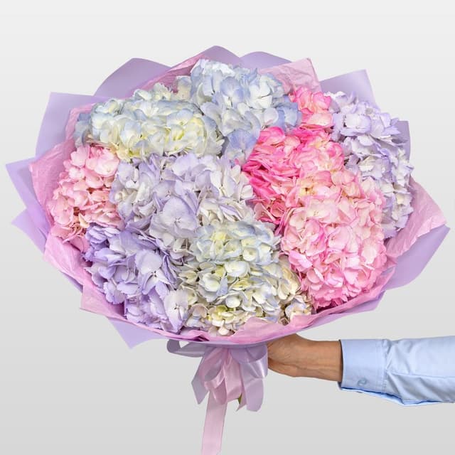 Букет из Гортензий «Ягодный Сорбет» Букет из Гортензий «Ягодный Сорбет»