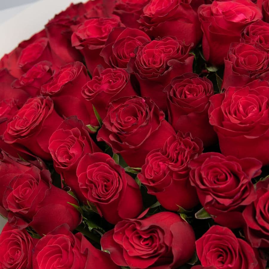 Букет Роз Кения 60 см 101 шт «Легенда Любви»