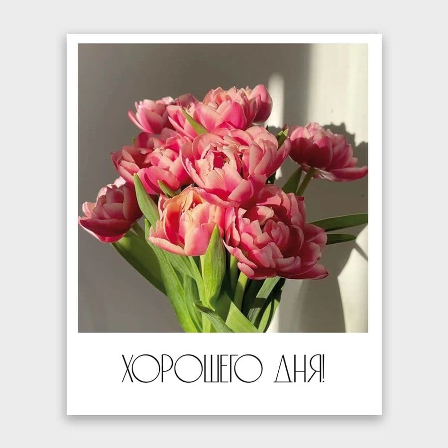 Открытка-фотокарточка «Хорошего дня»
