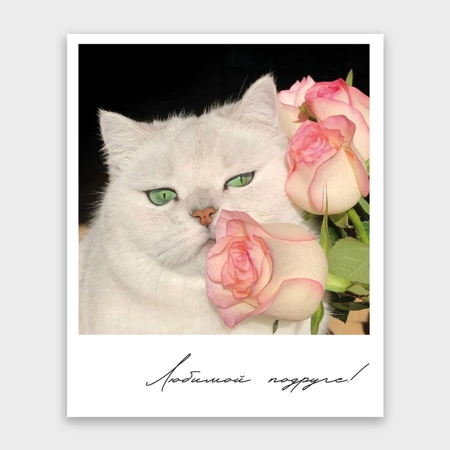 Открытка-фотокарточка «Любимой подруге!»