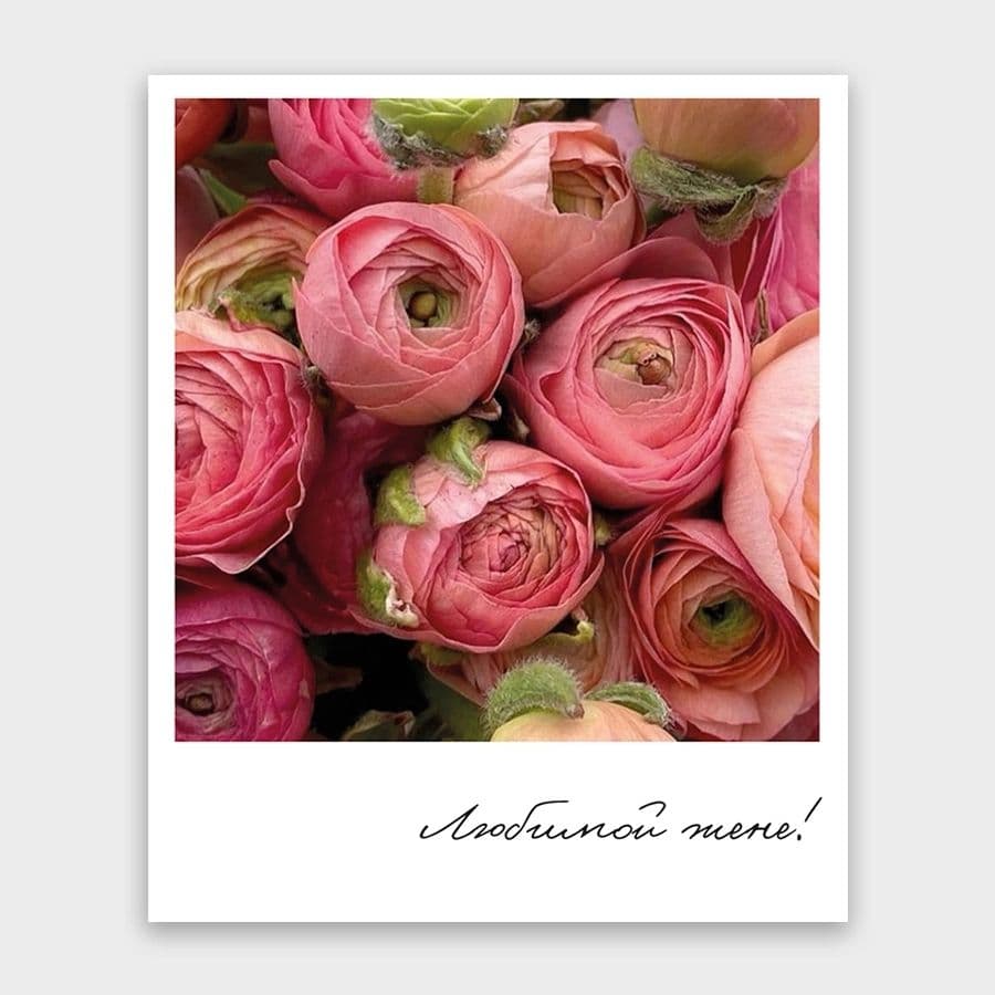 Открытка-фотокарточка «Любимой жене!»