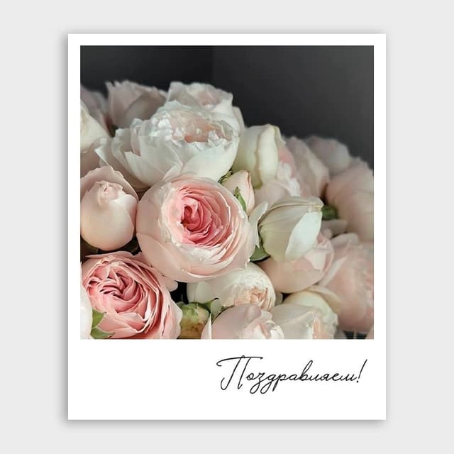 Открытка-фотокарточка с розами «Поздравляем!» Открытка-фотокарточка с розами «Поздравляем!»