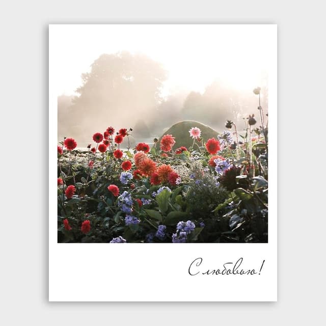 Открытка-фотокарточка с георгинами «С любовью!» Открытка-фотокарточка с георгинами «С любовью!»