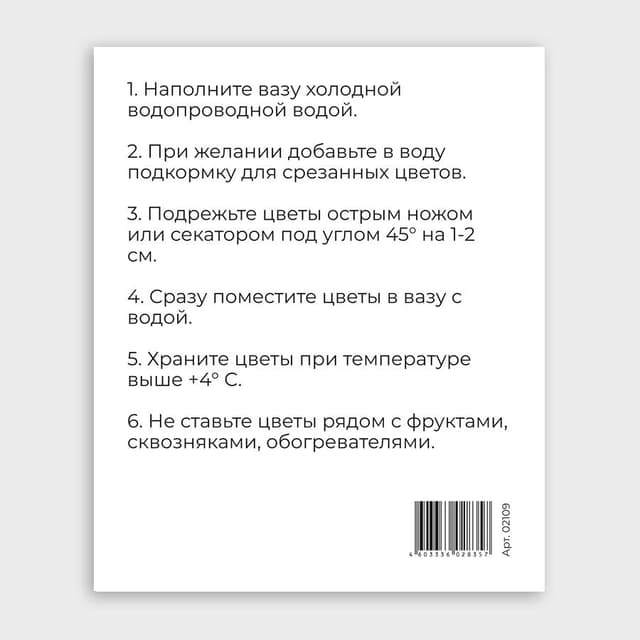 Открытка-фотокарточка «Уход за композицией» Открытка-фотокарточка «Уход за композицией»