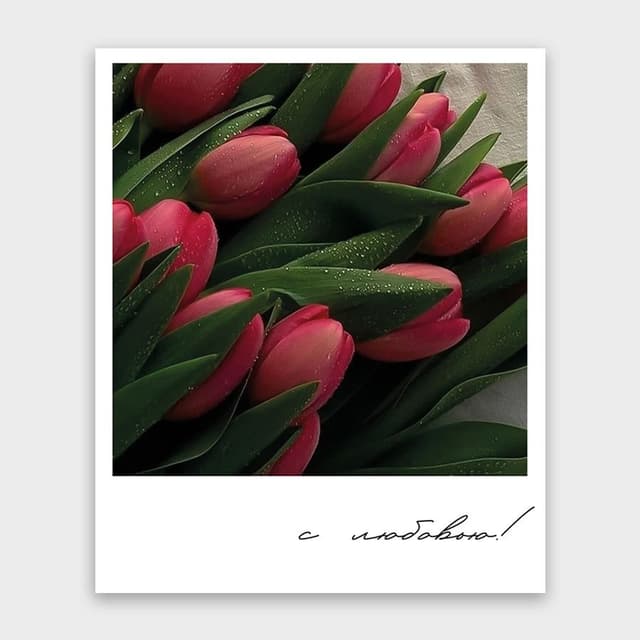 Открытка-фотокарточка с тюльпанами «С любовью» Открытка-фотокарточка с тюльпанами «С любовью»