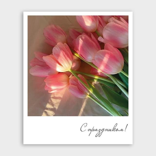 Открытка-фотокарточка с тюльпанами «С праздником!» Открытка-фотокарточка с тюльпанами «С праздником!»