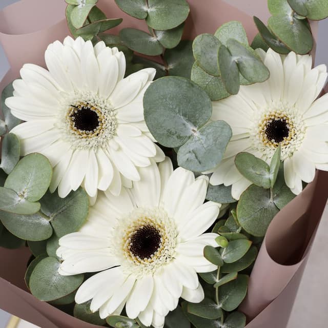 Букет из Гермини и Эвкалипта «Белый акцент» Букет из Гермини и Эвкалипта «Белый акцент»