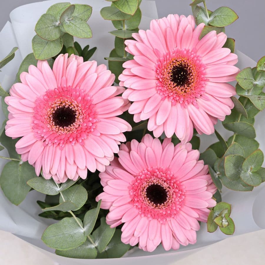 Букет из Гермини и Эвкалипта «Розовая мистерия»