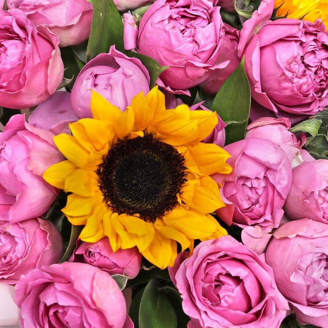 Букет из Кустовых роз и Подсолнухов «Солнечный танец» Букет из Кустовых роз и Подсолнухов «Солнечный танец»
